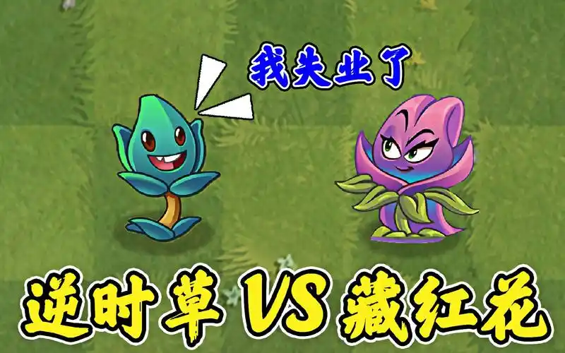 植物大战僵尸逆时草vs藏红花比比谁更厉害