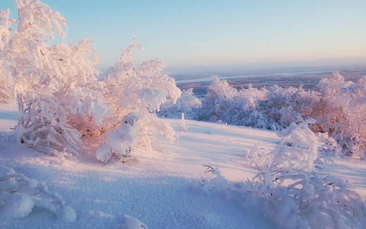 冬季纯白唯美雪景高清图片电脑壁纸