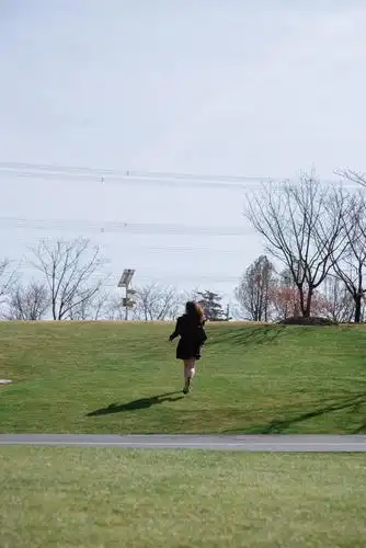 在阳光慵懒的午后