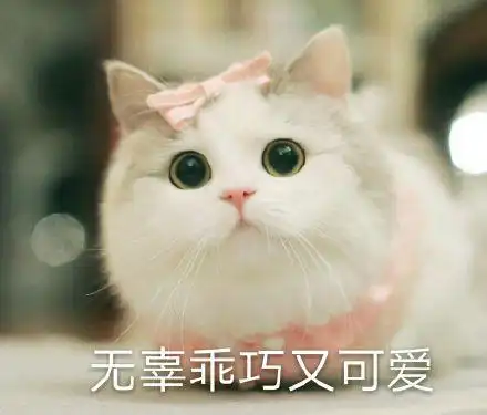 乖巧宝宝 学习表情包 - 乖巧宝宝 学习微信表情包 - 乖巧宝宝 学习qq