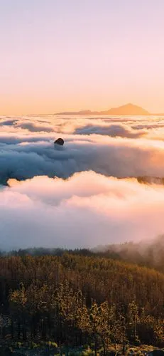 夕阳下的美丽云海,风景-手机壁纸