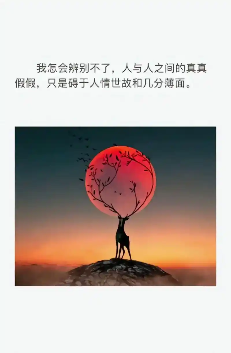 只有经历了一些事见过了一些人,你才会明白人心叵测时间识人世态 - 抖
