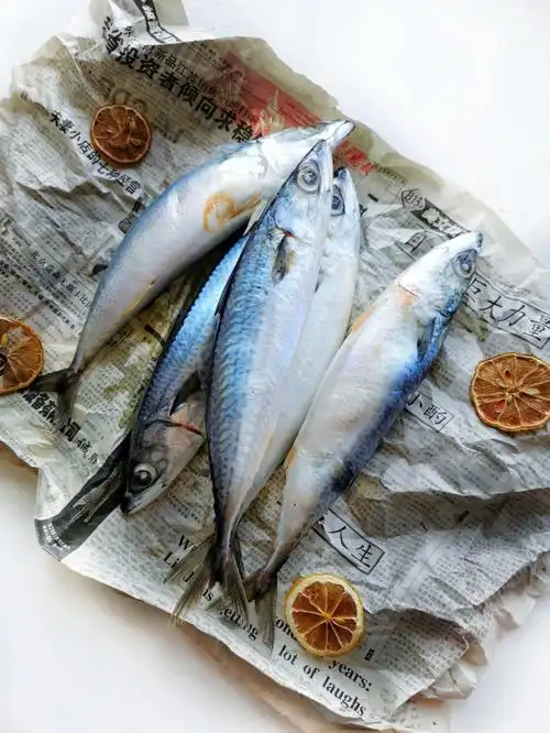 绘画素材青条鱼