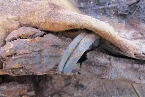 慈禧太后陵墓出土照暴光遗容初露于世