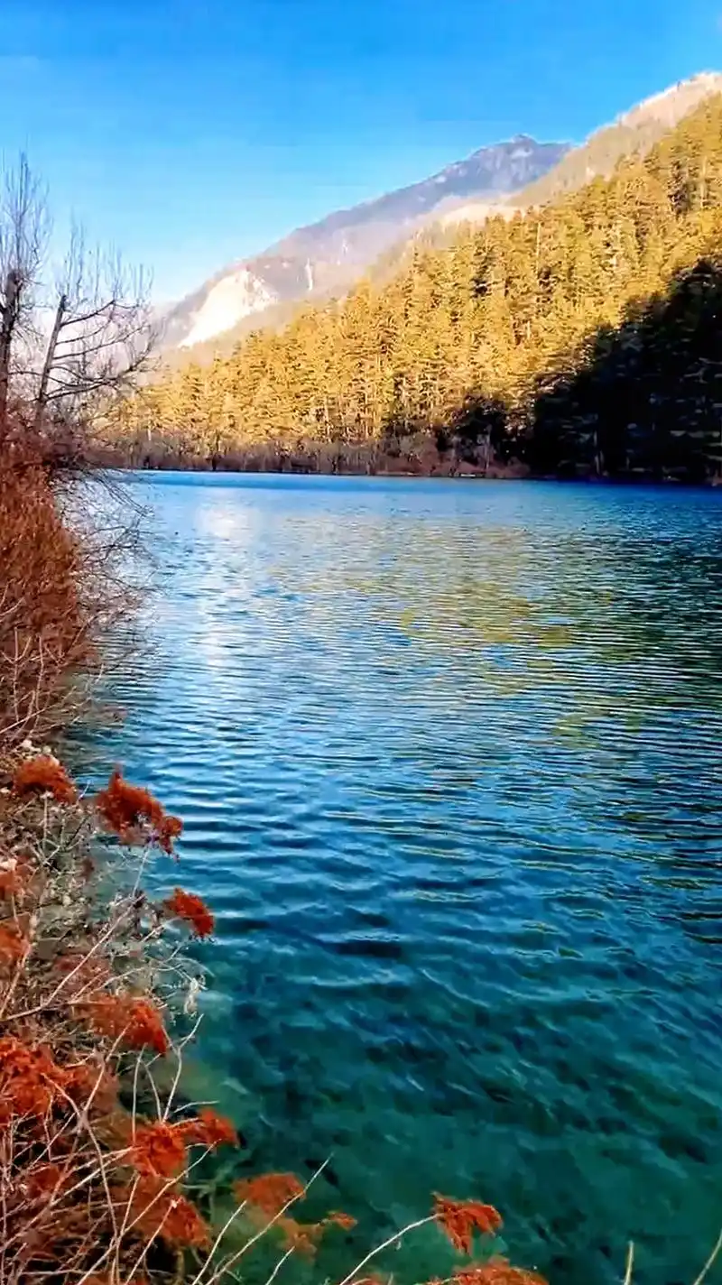 "九寨归来不看水",是对九寨沟景色真实的诠释#九寨沟 #风景 - 抖音