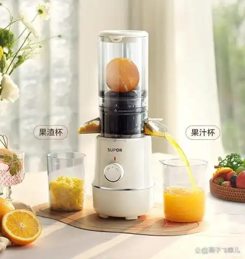 大口径榨汁机哪个品牌好用?来看看人气品牌,新鲜果汁轻松get!