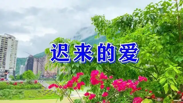 李茂山一首迟来的爱经典情歌深情感人超级好听