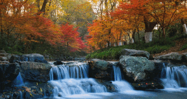 红叶翩然而落,盈满山涧小溪,红的,黄的,绿的落叶,为倒映在水面上的