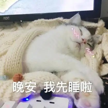 我先_晚安表情睡不着等一个人的晚安安(猫咪表情包)_晚安_猫咪表情