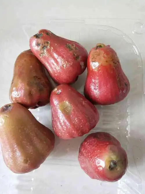 打分 质量太差了一盒莲雾7个,6个全部烂了.