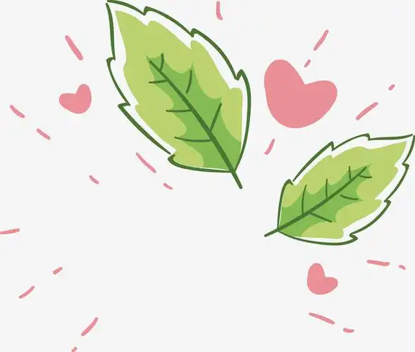 卡通绿叶png下载