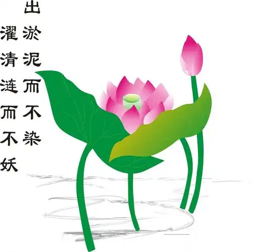 出淤泥不染