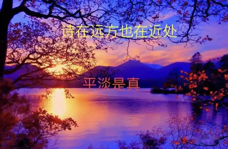 平平淡淡才是真感悟人生美文