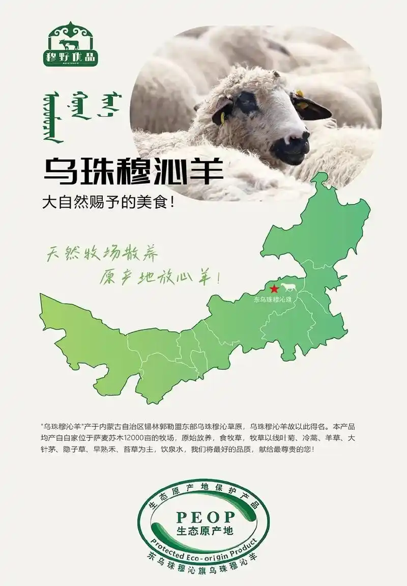 乌珠穆沁羊 #羊肉中的爱马仕 自家牧场,天然散养,正式上线 - 抖音