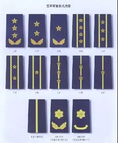 55式领章1955年刚授衔时空军领章分军衔领章和军兵种勤务符号领章两种