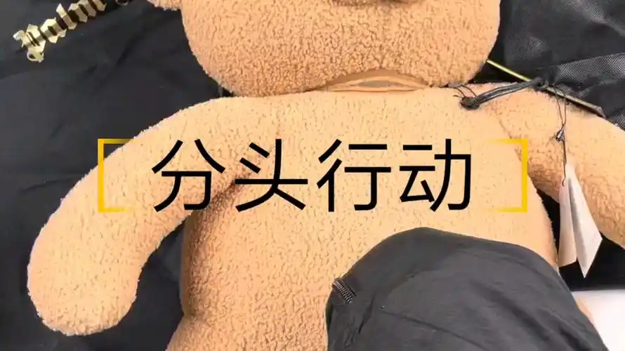 莆田金手指团队分头行动莆田金手指