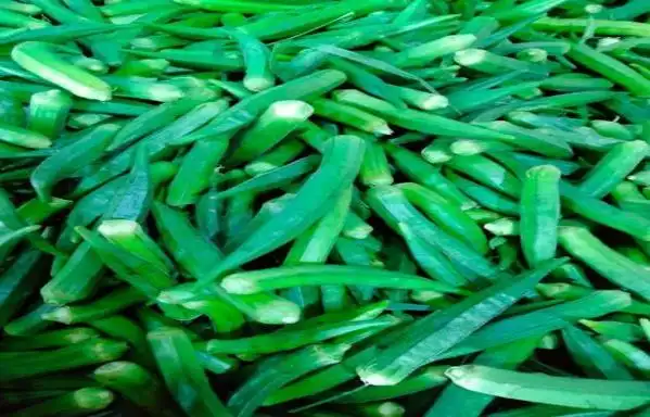 缅甸秋葵开拓日本市场;缅甸最新橡胶出口数据出炉|香蕉|蔬菜_网易订阅