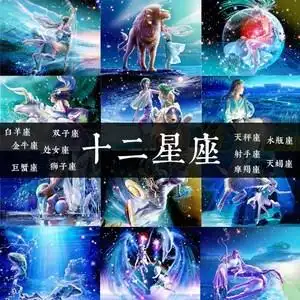 十二星座专属拼图型木质拼图5成年儿童解压创意3生日礼物女友送人