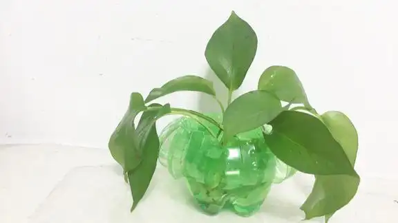 花瓶别再花钱买了教你自制花瓶一个塑料瓶就搞定漂亮还实用