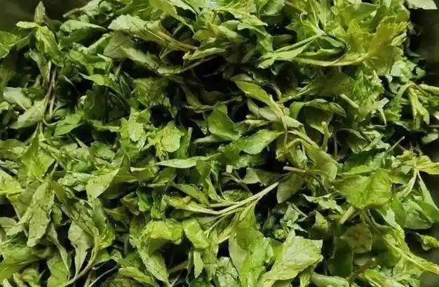 枸杞芽和菊花也有清肝明目的作用,两者搭配,能缓解眼干,眼疼,分泌物多