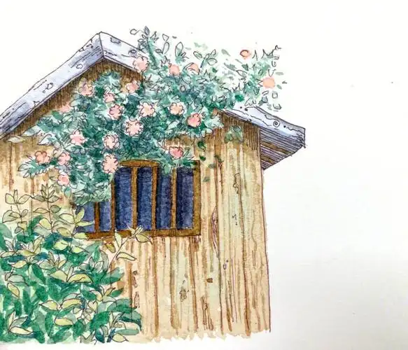 自学钢笔淡彩临摹