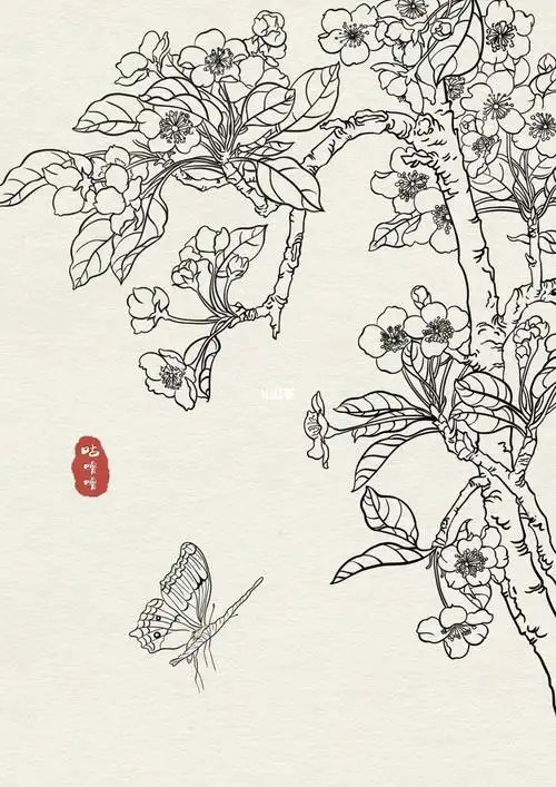 梅花|线稿|白描|插画|国风|练习