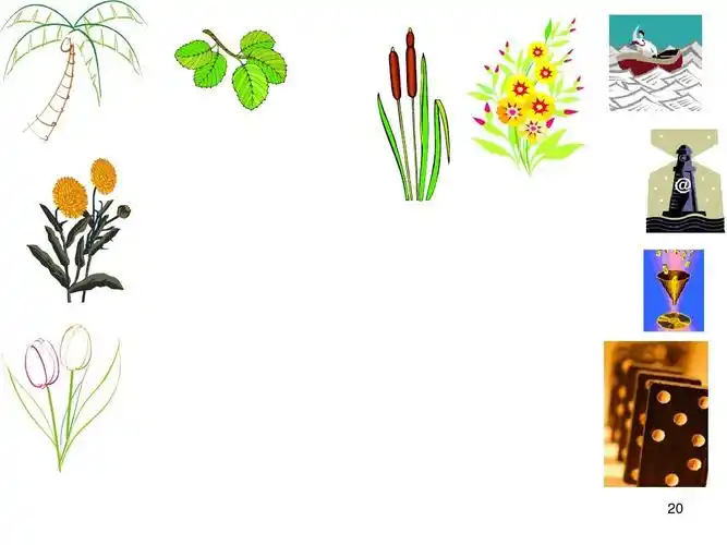 ppt插图动画素材