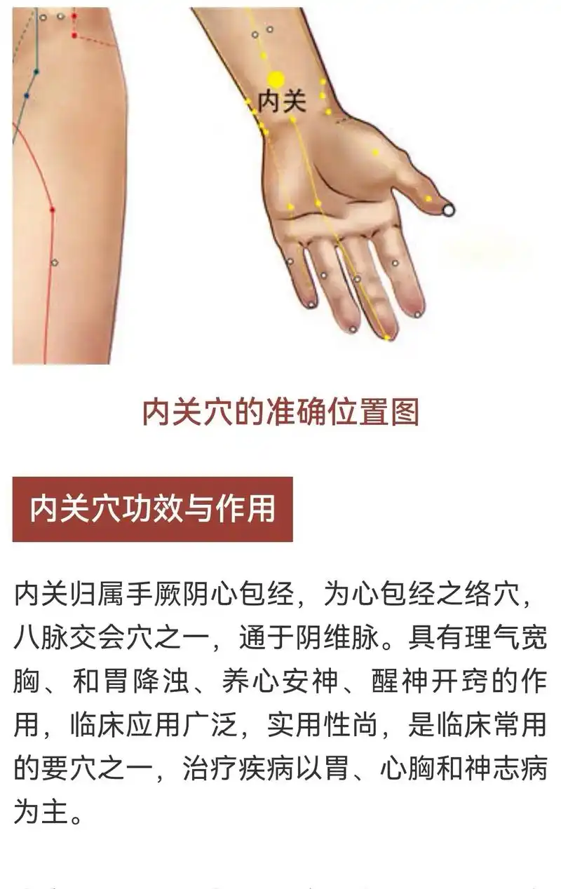 狂补气血不如养好胃 中医教你三个穴位针,针和灸都可以, 健脾 - 抖音