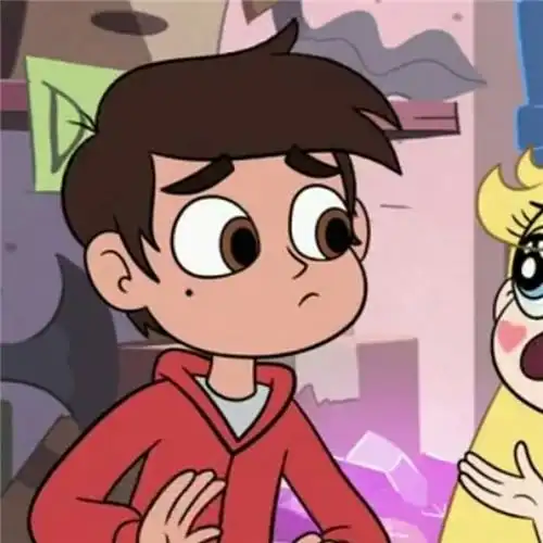 星蝶公主马可头像