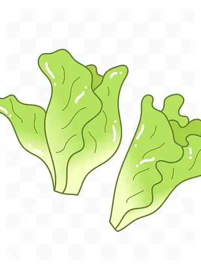 10514卡通手绘蔬菜生菜线条插画矢量装饰元素105201可爱卡通家常菜