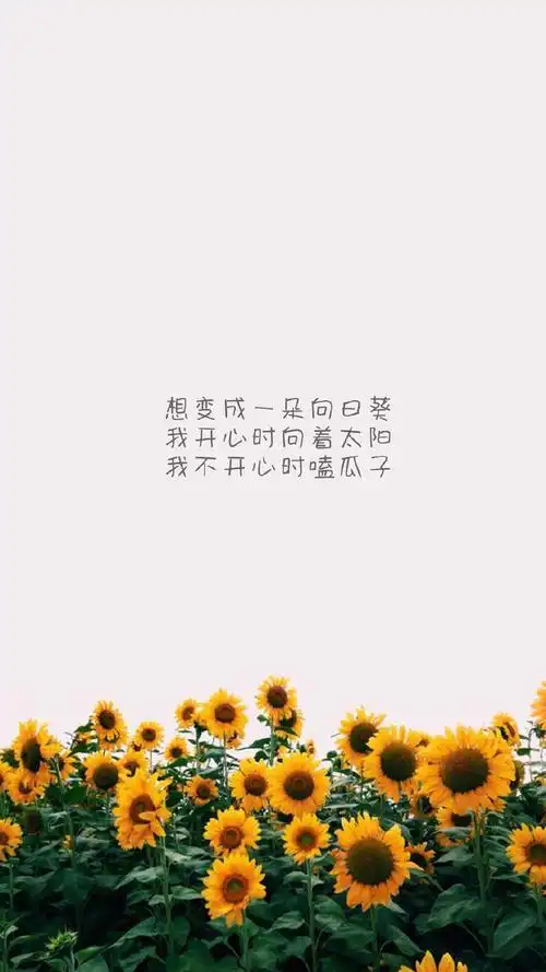 睡前晚安心语语录文案:愿以余生酿酒,许你百年无忧