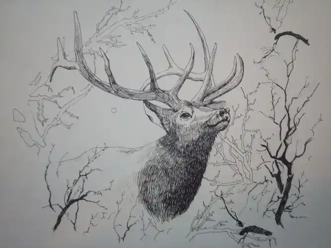 鹿|插画|创作习作|面朝阳的向日葵 - 原创作品 - 站酷 (zcool)