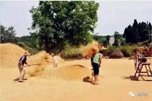 太美了珍贵老照片经典童年记忆60后70后80后的你还记得么