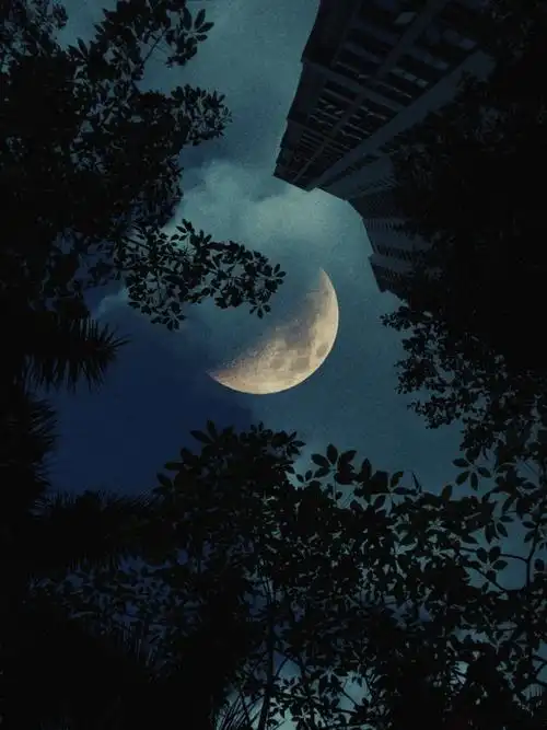 半个月亮爬上来