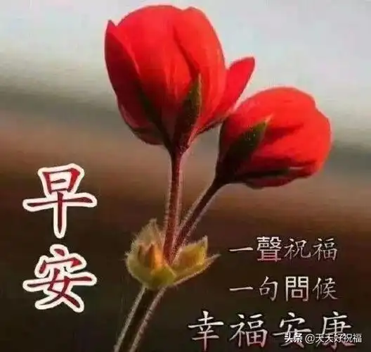 2020仲夏早晨好问候优美图片句子很暖心的早安祝福表情