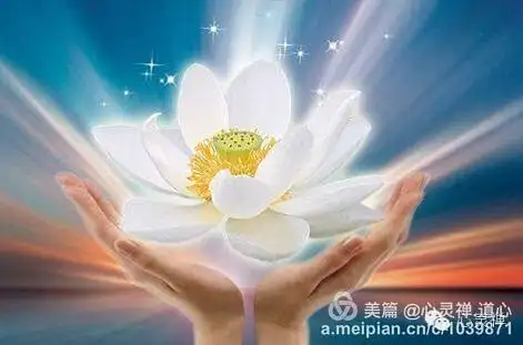 金钱的灵性能量是什么