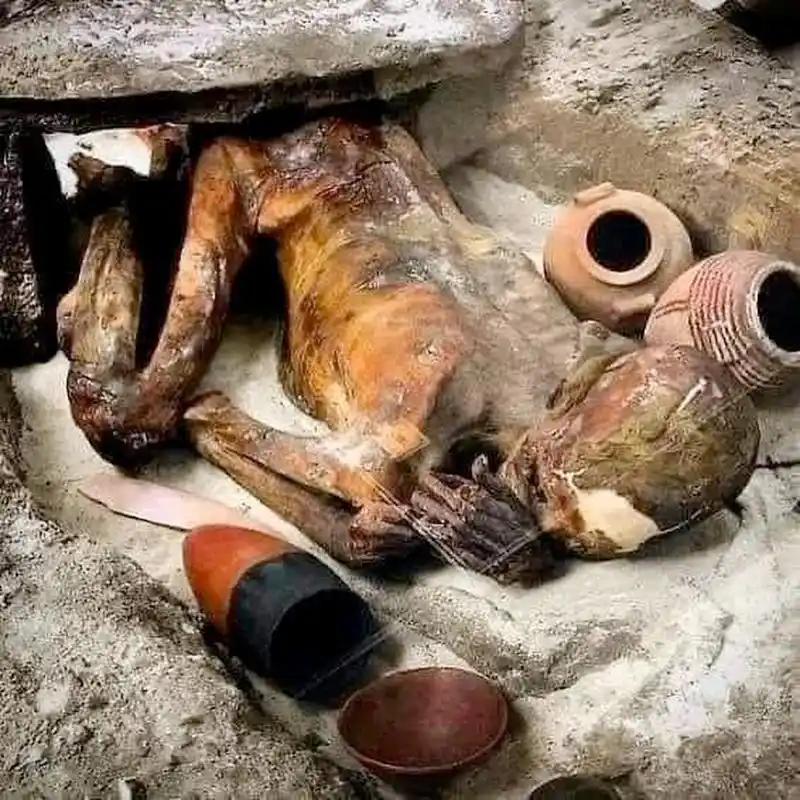 这是现存最古老的埃及木乃伊. 它已有5500多年的历史.