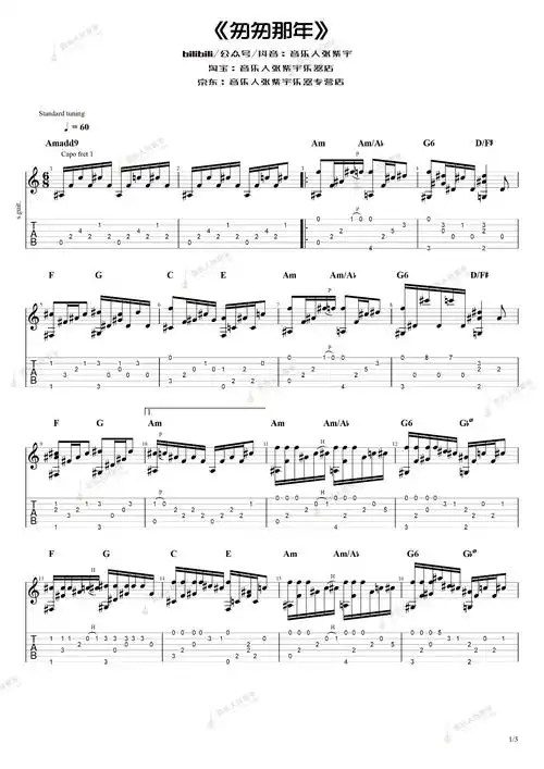 匆匆那年指弹吉他谱-王菲-吉他独奏演示