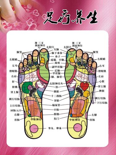 756海报印制展板写真喷绘793中医养生足疗足部反射区穴位图