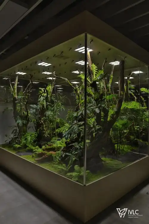 ivlc2021##ivlc世界生态缸造景大赛