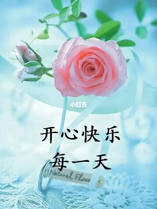 开心快乐每一天