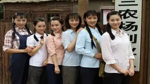 八部知青题材电视剧,哪一部最能触动你?