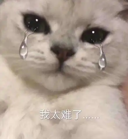 小浣熊颜文字戴帽子二颜文字可爱萌萌哒文字表情表情