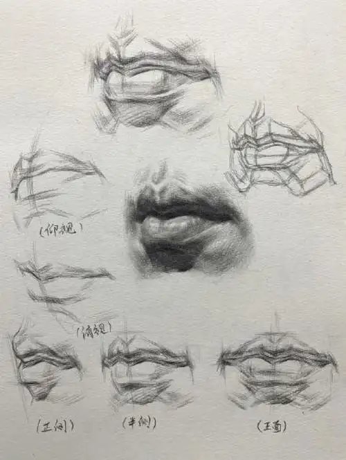素描唇部细节