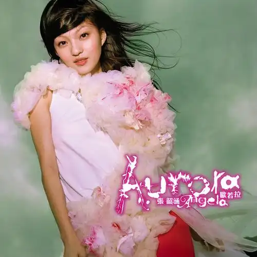 欧若拉 - 张韶涵 - 单曲 - 网易云音乐