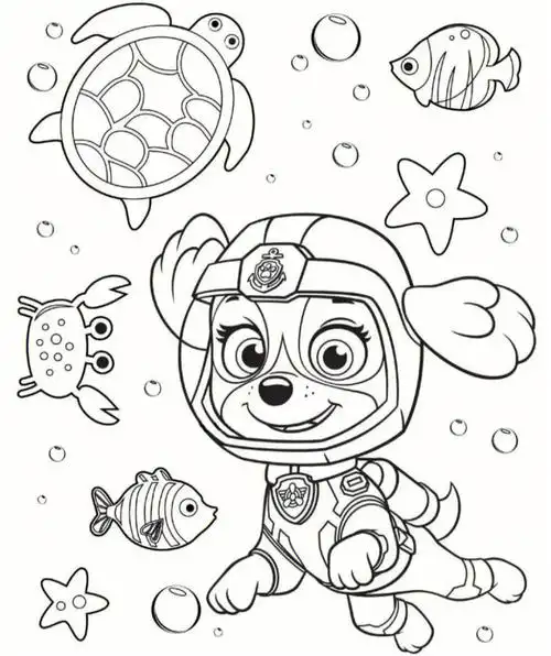 汪汪队简笔画看我动画片学完识字来画画