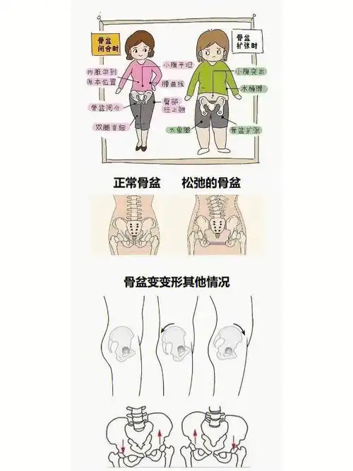 今日分享关于产后身体的变化