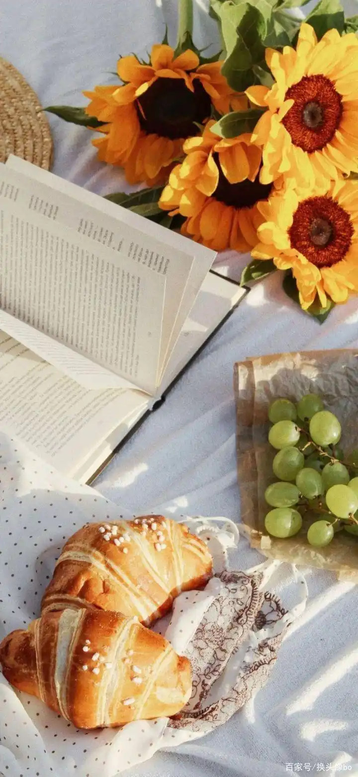 唯美艺术感的全面屏手机壁纸