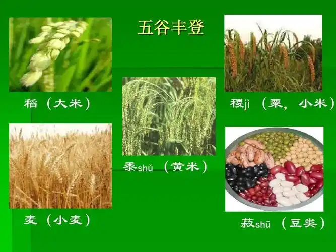 第1课 农业的主要耕作方式和土地制度