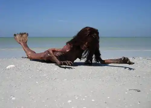 村民海上捕获一条"美人鱼",众人围观,老人看后一语道出真相!